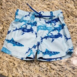 Shark Print Swim Shorts